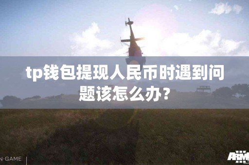 tp钱包提现人民币时遇到问题该怎么办？
