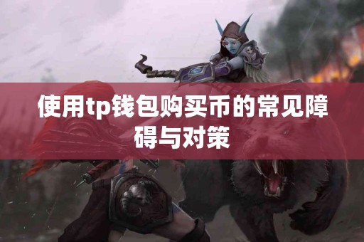 使用tp钱包购买币的常见障碍与对策