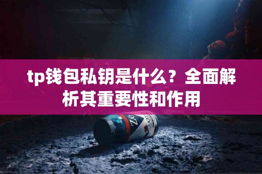tp钱包私钥是什么？全面解析其重要性和作用
