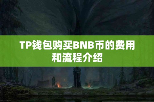 TP钱包购买BNB币的费用和流程介绍