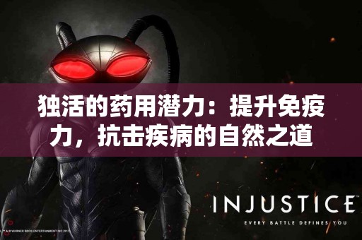 独活的药用潜力:提升免疫力,抗击疾病的自然之道 独活的药用潜力:提升免疫力,抗击疾病的自然之道