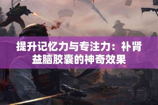 提升记忆力与专注力：补肾益脑胶囊的神奇效果