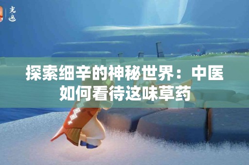探索细辛的神秘世界：中医如何看待这味草药