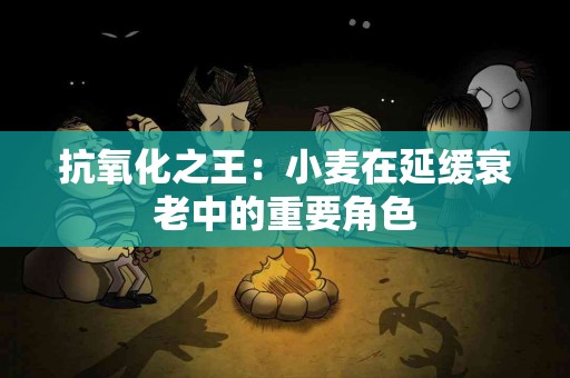 抗氧化之王：小麦在延缓衰老中的重要角色