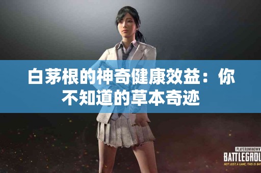 白茅根的神奇健康效益：你不知道的草本奇迹