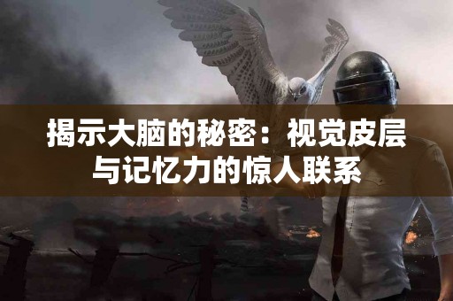 揭示大脑的秘密：视觉皮层与记忆力的惊人联系