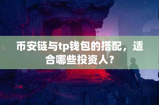 币安链与tp钱包的搭配，适合哪些投资人？