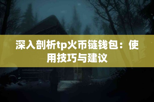 深入剖析tp火币链钱包：使用技巧与建议