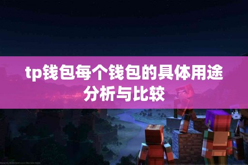 tp钱包每个钱包的具体用途分析与比较