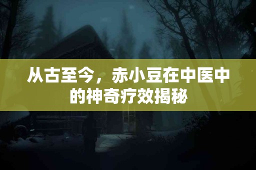 从古至今，赤小豆在中医中的神奇疗效揭秘