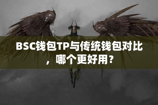 BSC钱包TP与传统钱包对比，哪个更好用？