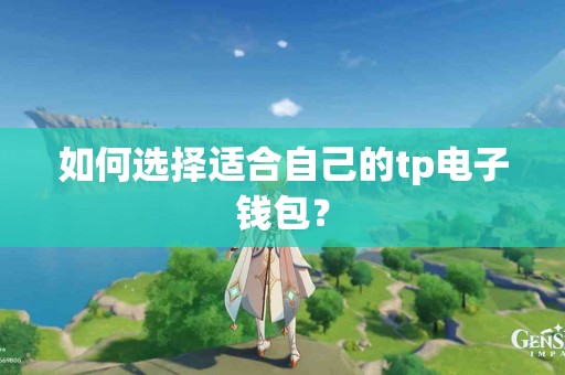如何选择适合自己的tp电子钱包？