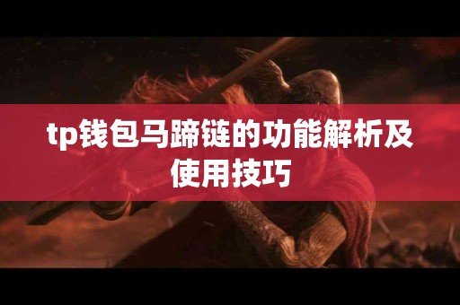 tp钱包马蹄链的功能解析及使用技巧