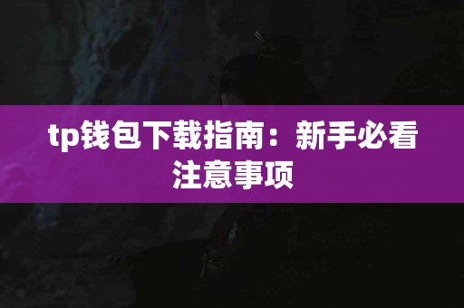 tp钱包下载指南：新手必看注意事项