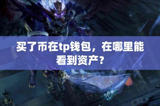 买了币在tp钱包，在哪里能看到资产？