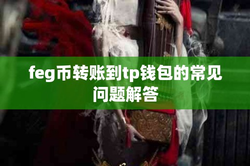 feg币转账到tp钱包的常见问题解答