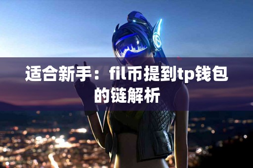 适合新手：fil币提到tp钱包的链解析