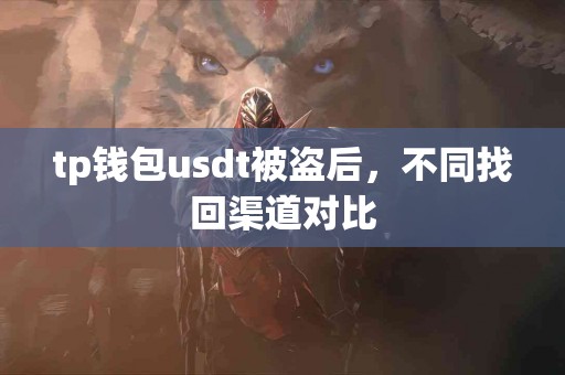 tp钱包usdt被盗后，不同找回渠道对比