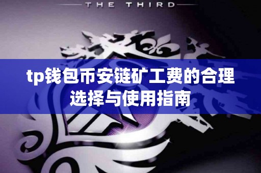 tp钱包币安链矿工费的合理选择与使用指南