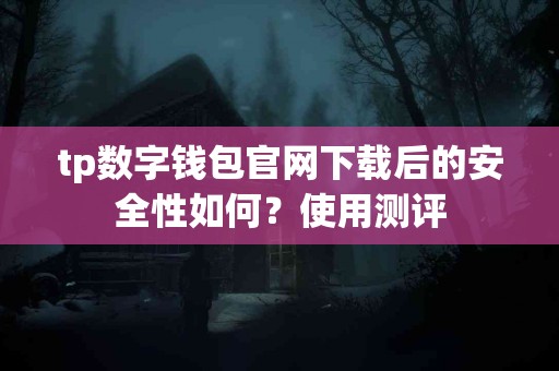 tp数字钱包官网下载后的安全性如何？使用测评