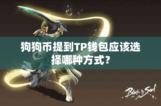 狗狗币提到TP钱包应该选择哪种方式？