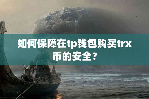 如何保障在tp钱包购买trx币的安全？