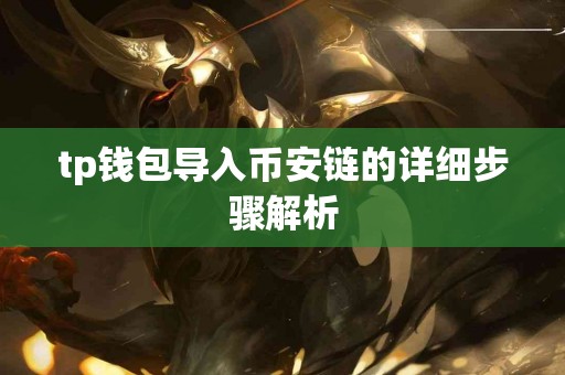 tp钱包导入币安链的详细步骤解析