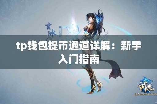 tp钱包提币通道详解：新手入门指南