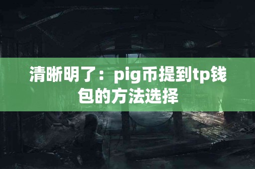 清晰明了：pig币提到tp钱包的方法选择