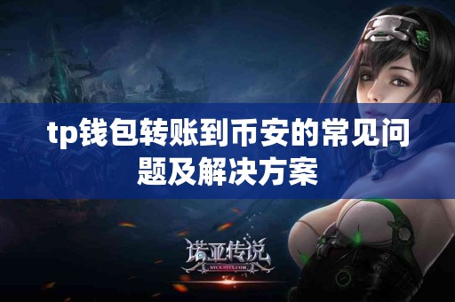 tp钱包转账到币安的常见问题及解决方案