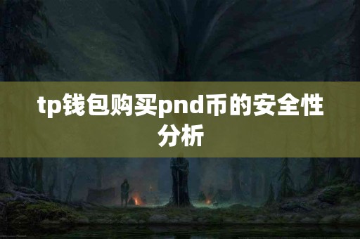 tp钱包购买pnd币的安全性分析