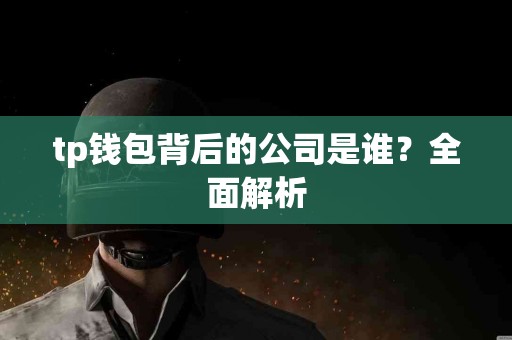 tp钱包背后的公司是谁？全面解析