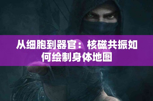 从细胞到器官：核磁共振如何绘制身体地图