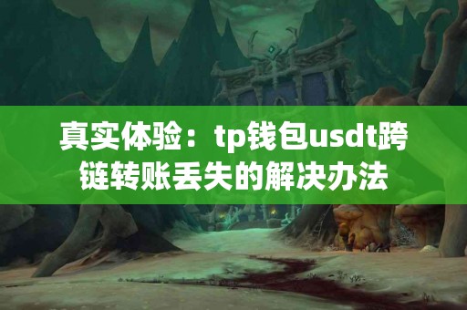 真实体验：tp钱包usdt跨链转账丢失的解决办法