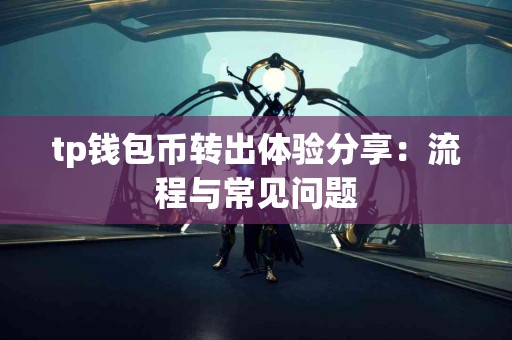 tp钱包币转出体验分享：流程与常见问题