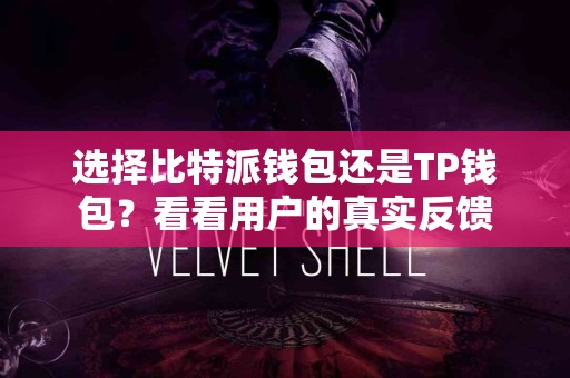 选择比特派钱包还是TP钱包？看看用户的真实反馈