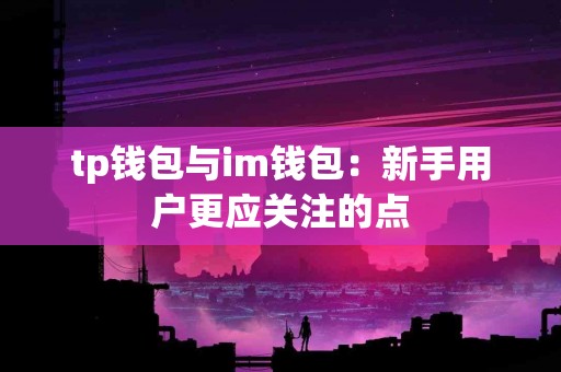 tp钱包与im钱包：新手用户更应关注的点