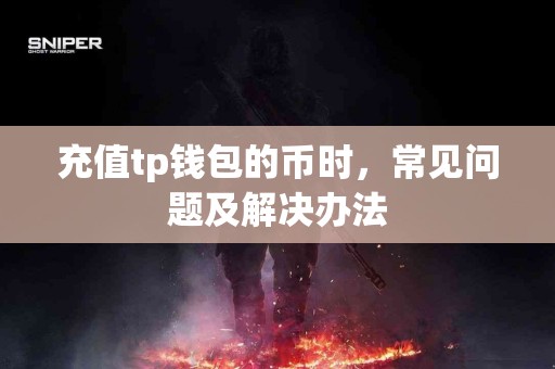 充值tp钱包的币时，常见问题及解决办法