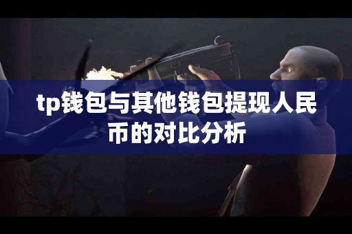 tp钱包与其他钱包提现人民币的对比分析