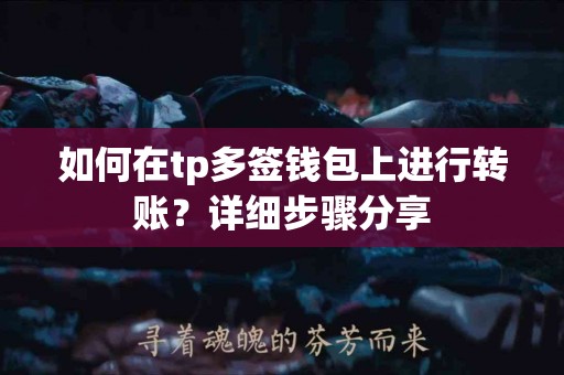 如何在tp多签钱包上进行转账？详细步骤分享