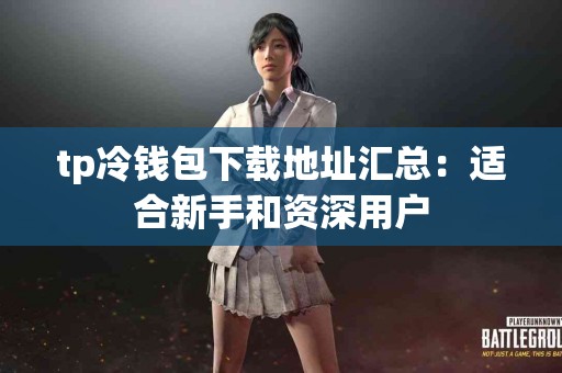 tp冷钱包下载地址汇总：适合新手和资深用户