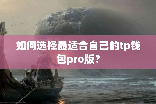 如何选择最适合自己的tp钱包pro版？