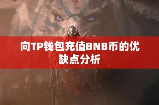 向TP钱包充值BNB币的优缺点分析