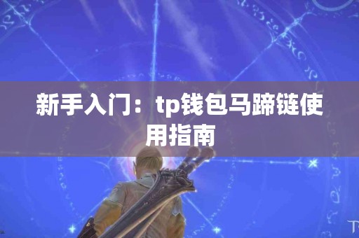 新手入门：tp钱包马蹄链使用指南