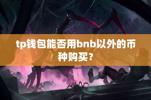 tp钱包能否用bnb以外的币种购买？