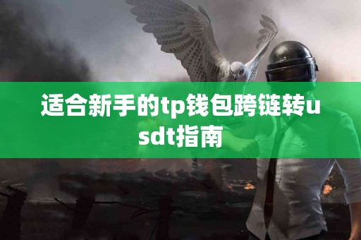 适合新手的tp钱包跨链转usdt指南