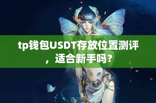 tp钱包USDT存放位置测评，适合新手吗？