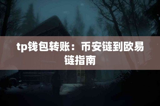 tp钱包转账：币安链到欧易链指南