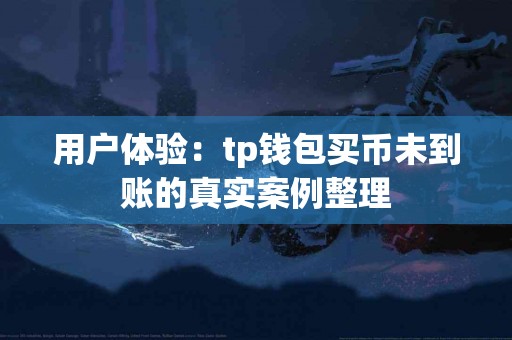 用户体验：tp钱包买币未到账的真实案例整理