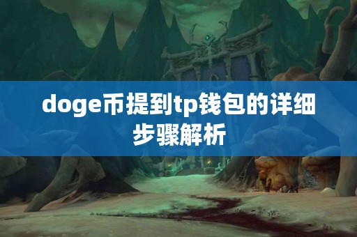doge币提到tp钱包的详细步骤解析